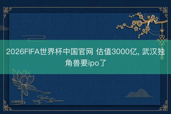 2026FIFA世界杯中国官网 估值3000亿, 武汉独角兽要ipo了