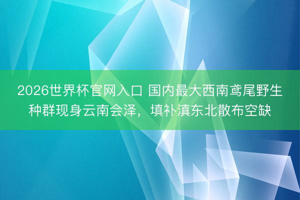 2026世界杯官网入口 国内最大西南鸢尾野生种群现身云南会泽，填补滇东北散布空缺