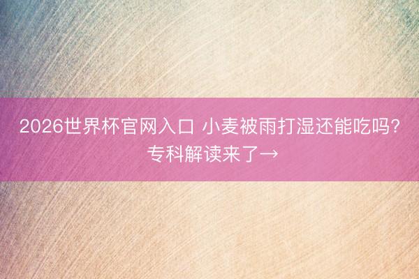 2026世界杯官网入口 小麦被雨打湿还能吃吗? 专科解读来了→