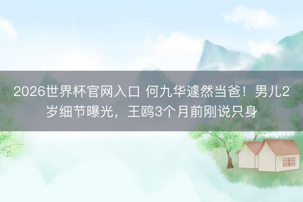 2026世界杯官网入口 何九华遽然当爸！男儿2岁细节曝光，王鸥3个月前刚说只身
