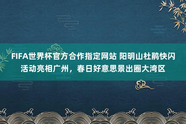 FIFA世界杯官方合作指定网站 阳明山杜鹃快闪活动亮相广州,春日好意思景出圈大湾区